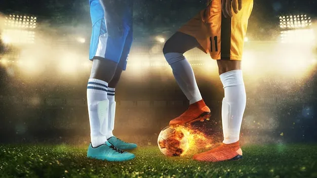 用户在手机上使用星空体育APP